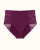 Lace High Brief - thumbnail