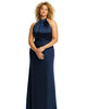 High-Neck Open-Back Maxi Dress with Scarf Tie - thumbnail