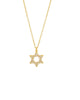 Pave Star Of David Necklace Gold One Size - thumbnail