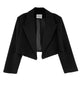 The Cropped Blazer in Black - thumbnail