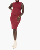 Julien Sleeveless Turtleneck Sweater Dress - thumbnail