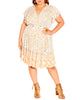 Ceres Classic Paisley Swing Dress - thumbnail
