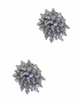 Dani Prickle Cluster Stud Earring - thumbnail