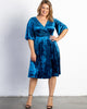 Fit and Flair Velvet Dress - thumbnail
