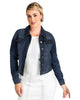 Autumn Destroyed Denim Jacket - thumbnail
