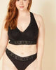 Lace Mid-Rise Thong - thumbnail