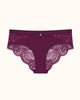 Lace Back Cheeky - thumbnail