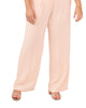 Delphi Font Pleat Pant - thumbnail