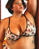 Butterfly Print Mesh Bralette - thumbnail