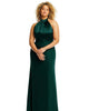 High-Neck Open-Back Maxi Dress with Scarf Tie - thumbnail