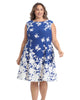 Monotone Floral Cap Sleeve Fit and Flare Dress - thumbnail