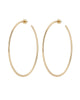 2.5" Ultimate Hoops Gold - thumbnail
