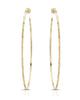 Avery Hoops Gold - thumbnail