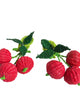 Women'S Iraca Fruta & Leaf Bloom Stud Earrings in Cherry - thumbnail