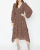 Chae Dress in Multi Dot Stripe - thumbnail