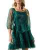 Leah Organza Dress In Emerald - thumbnail