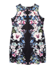 Franklin Sleeveless Dress - thumbnail