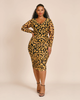 Iris Mesh Ruched Bodycon Dress - thumbnail
