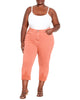 Sunburst Embellished Crop Jean - thumbnail